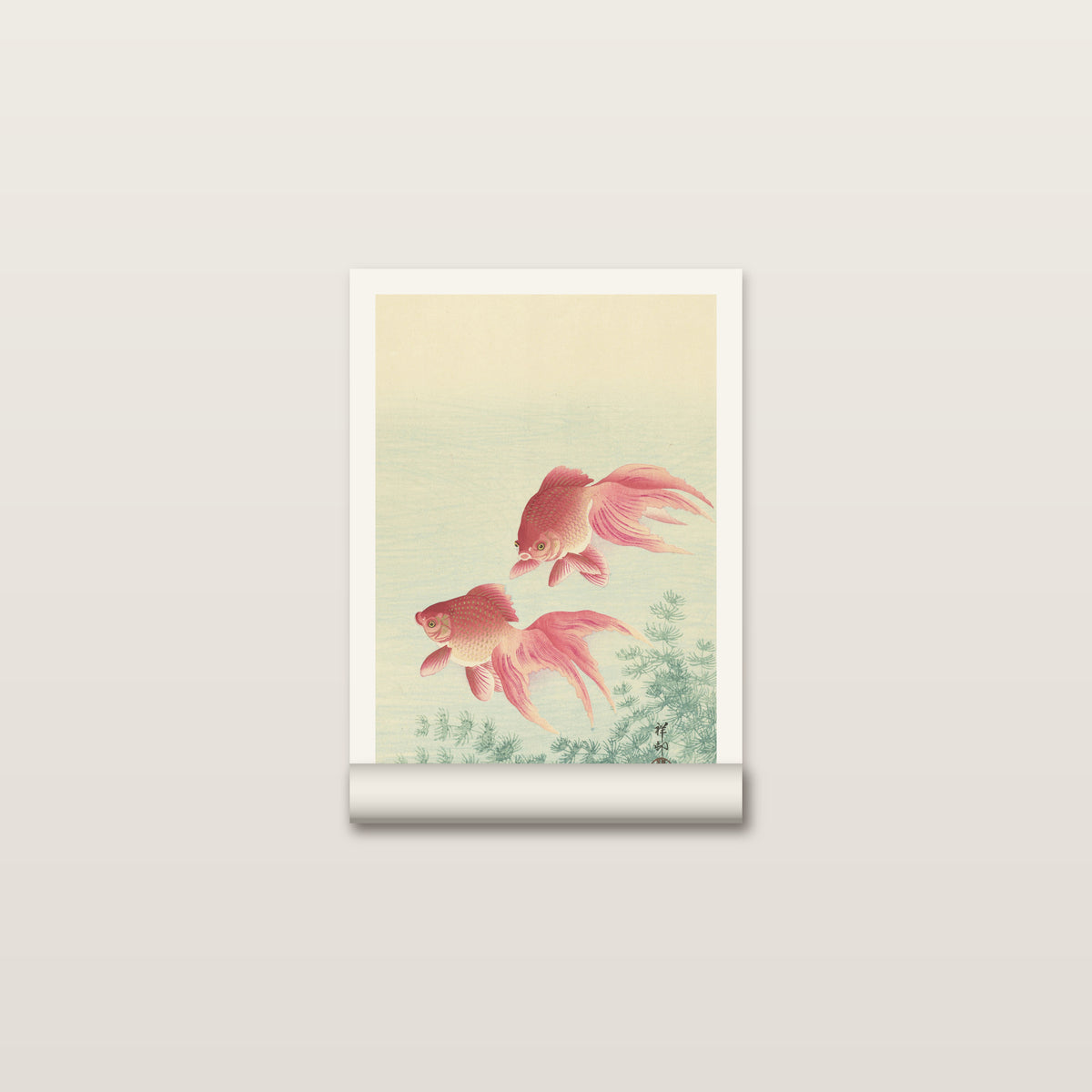 Toile roulée des poissons rouges d'Ohara Koson posée à plat, herbes d'eau en bas et marge blanche autour